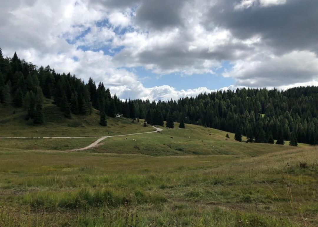 Appartamento Cologna Castelfondo Zewnętrze zdjęcie