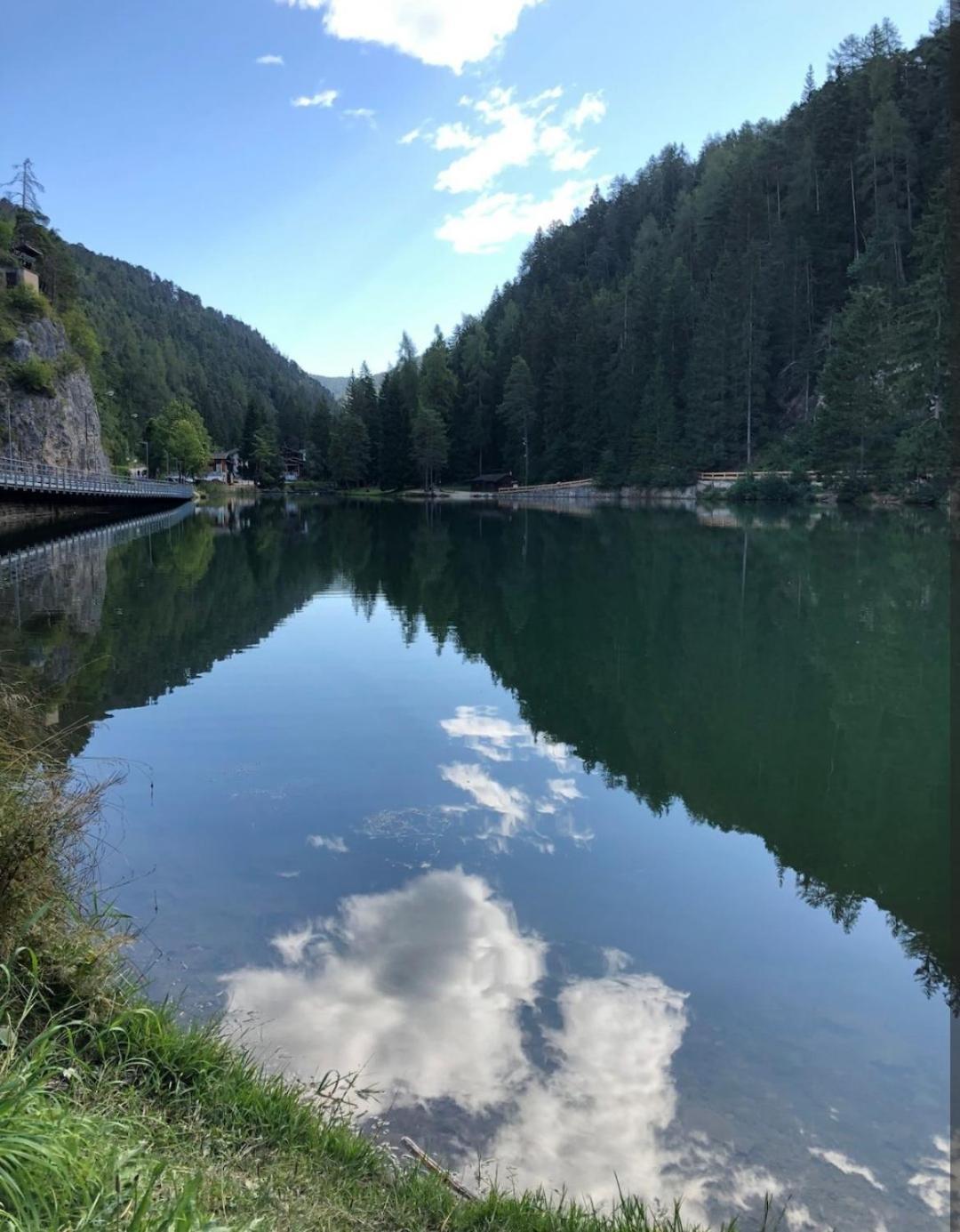 Appartamento Cologna Castelfondo Zewnętrze zdjęcie