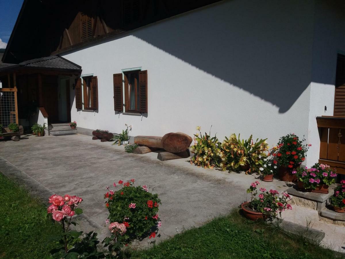 Appartamento Cologna Castelfondo Zewnętrze zdjęcie