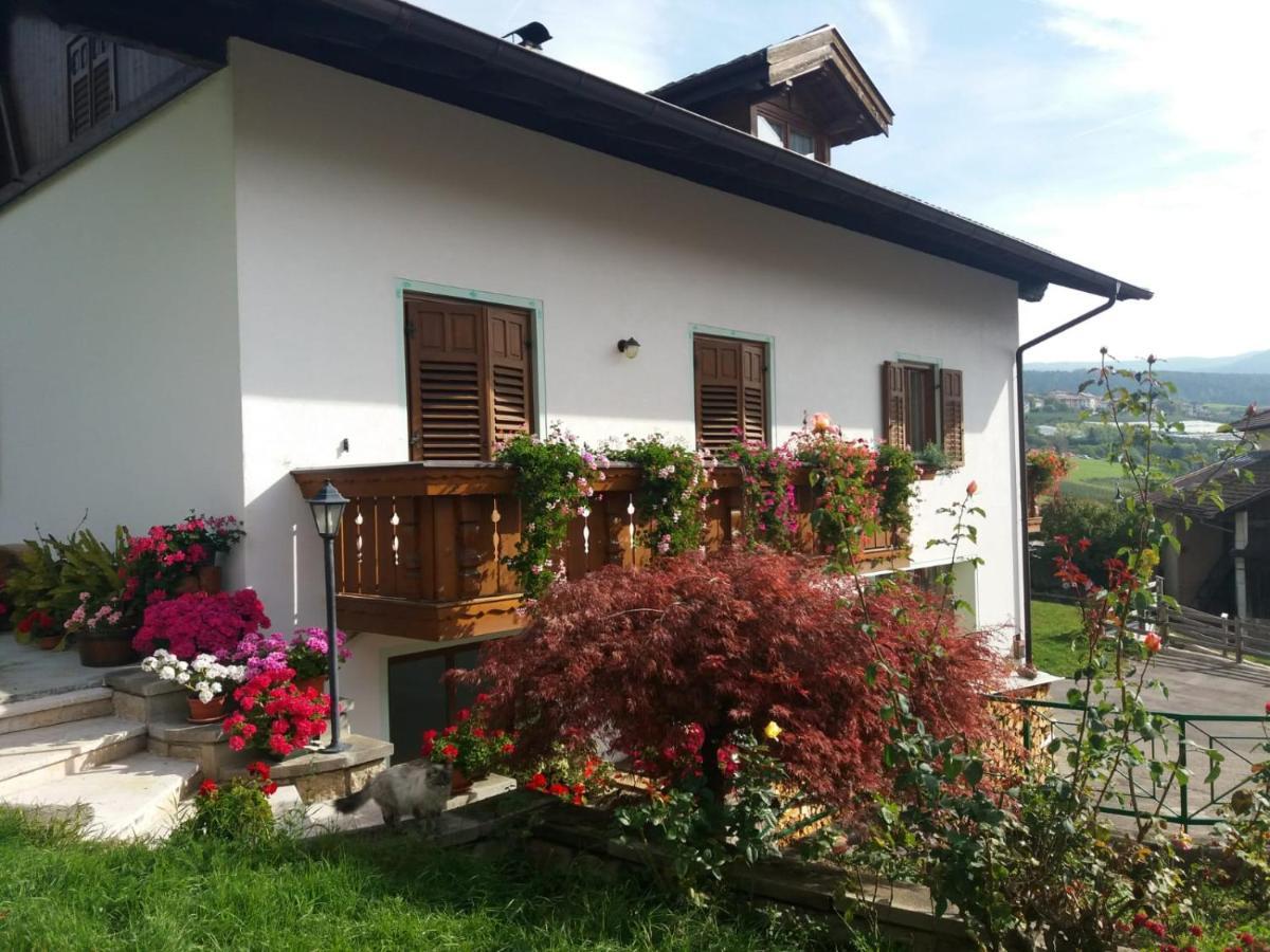 Appartamento Cologna Castelfondo Zewnętrze zdjęcie